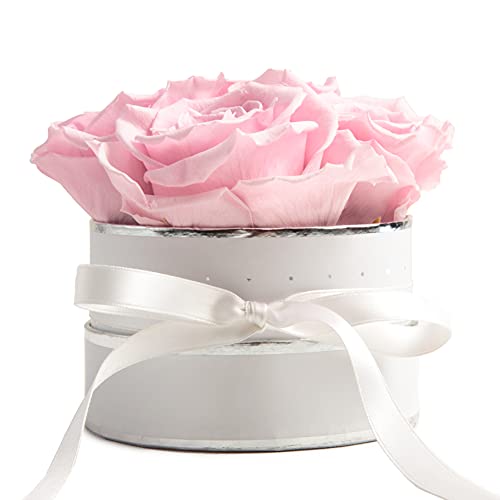 ROSEMARIE SCHULZ Heidelberg Flowerbox rund Infinity Rosen Rosa - Blumenbox in Weiß 4 konservierte Rosen