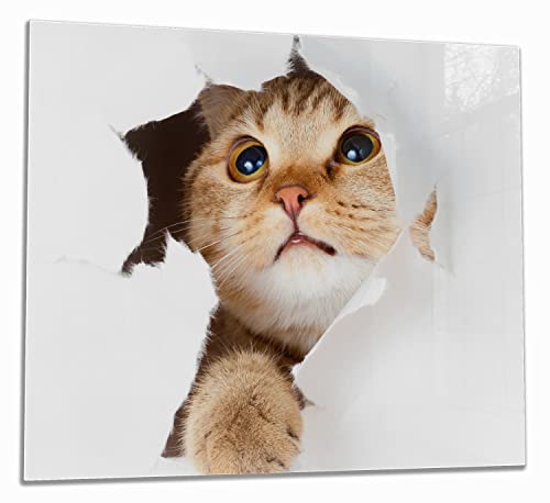 Wallario Herdabdeckplatte/Spritzschutz aus Glas, 1-teilig, 60x52cm, für Ceran- und Induktionsherde, Katze mit Blick nach Oben