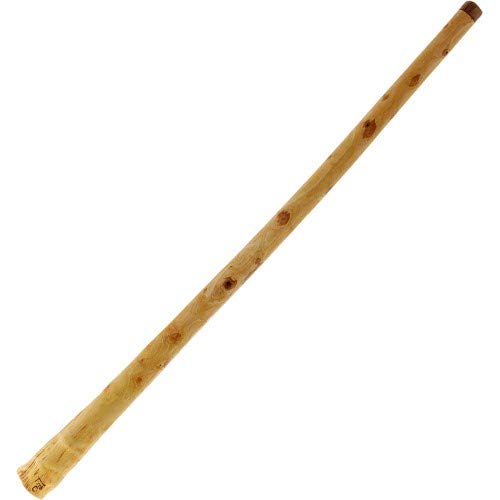 Terre Didgeridoo Proline D Eukalyptus 150-160cm
