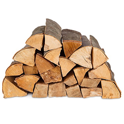 100kg (4x25kg) Brennholz & 100 Bioanzünder - Kaminholz 100% Buchenholz Feuerholz 25cm - kammergetrocknet, ofenfertig und einsatzbereit + 100 Stück Anzünder