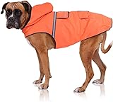 Bella & Balu Hunderegenmantel wasserdicht mit Kapuze und Reflektoren für sichere Gassigänge, Hundespielplatz und Urlaub (L, Orange)