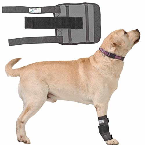 NATURE PET Hunde Handgelenk Bandage/Karpalgelenk Schutz Bandage für Hunde Carpolock Medium (XL)