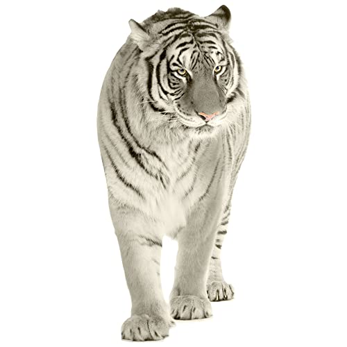 GRAZDesign Wandtattoo Tiger Schwarz Weiß, Wandaufkleber Tigerkopf, Raubkatze Asien, Schneetiger / 109x50cm