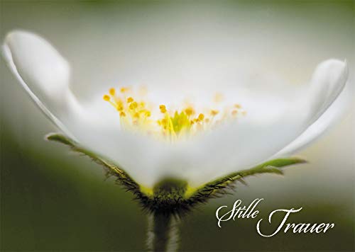 Trauerkarte Stille Trauer (6 St) Psalm Lutherbibel Blume Grußkarte Kuvert