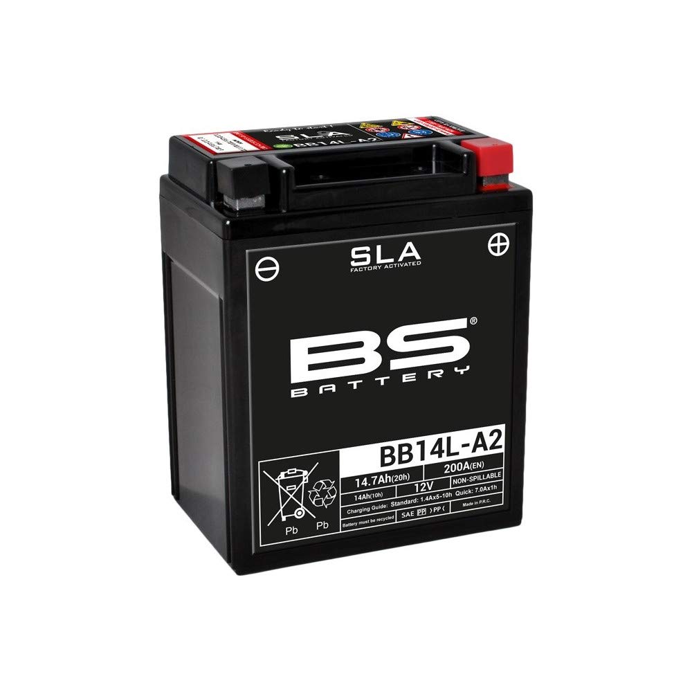 BS Battery 300759 BB14L-A2 AGM SLA Motorrad Batterie, Schwarz