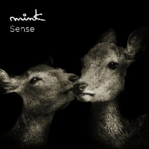 Sense [CD+Dvd ed.]