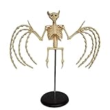 Lehrmodell, Fledermaus-Skelettmodell – Tieranatomie-Biologie-Probe – für realistische Fledermaus-Halloween-Dekorationen und Veterinärunterricht, medizinische Ausrüstung, Anatomie-Biologie, exquisit