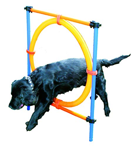 Pawise 11433 Agility Sprungring Hunde Trainingshürde Jumping Ring