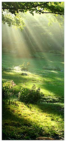 Wallario Selbstklebende Türtapete Sonnenstrahlen im Wald - 93 x 205 cm Abwischbar, rückstandsfrei zu entfernen