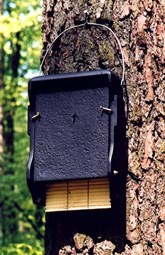Schwegler Naturschutzprodukt Fledermaus Nistkasten Nisthöhle Fledermaushöhle 1FF mit eingearbeiteter Holzrückwand aus Holzbeton Höhe 43 cm