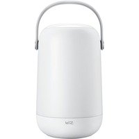 Wi-Fi BLE Portable Light EU Type C