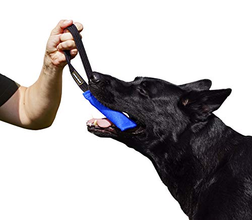 Dingo Gear Baumwolle-Nylon Beißwurst für Hundetraining K9 IGP IPO Obiedence Schutzhund Hundesport, mit Einem Griff 5 x 15 cm Blau S00060