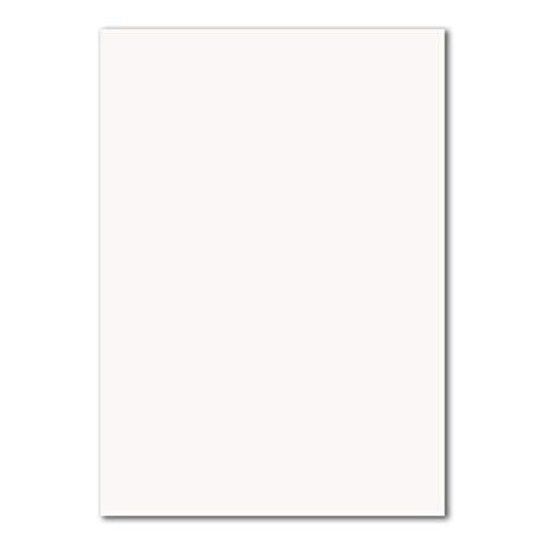 200x DIN A4 Papier Planobogen -Hochweiß - 110 g/m² - 21 x 29,7 cm - Bastelbogen Ton-Papier Fotokarton Bastel-Papier Ton-Karton - FarbenFroh
