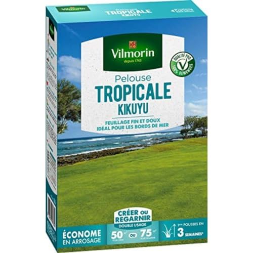 Vilmorin 4344512 Kikuyu Tropischer Rasen, Grün, 500 g