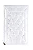 sei Design Winter Bettdecke 135x200 gesteppt SWAN Alternative zu Daunen, Steppdecke 100% Mikrofaser leichte Premium Decke mit hoher Wärmehaltung