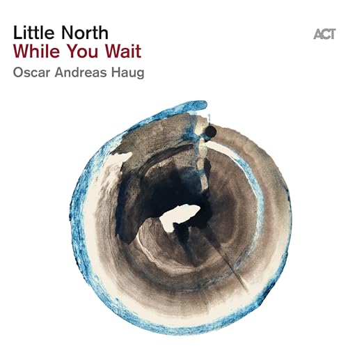 While You Wait, 1 Schallplatte + Download (Black Vinyl)