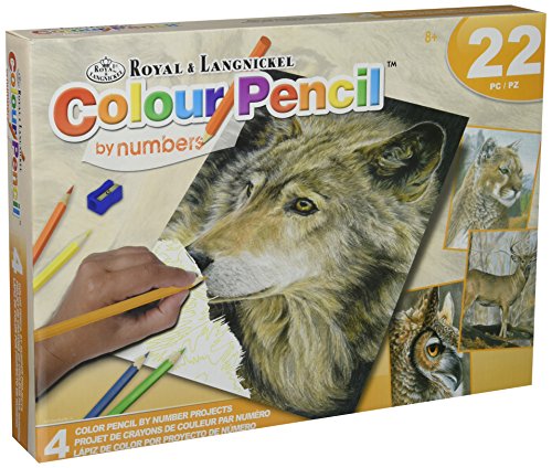 Royal Brush Wildlife Pencil-by-Number
