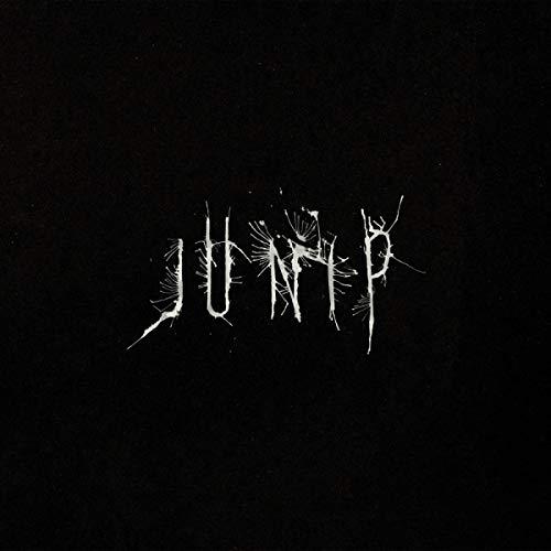 Junip (Lp+Mp3) [Vinyl LP]
