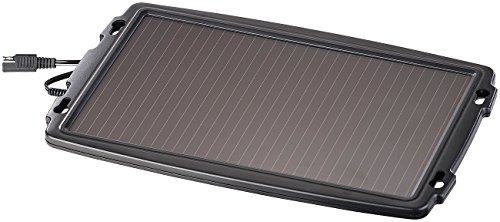 REVOLT Solarpanel Auto: Solar-Ladegerät für Auto-Batterien, 12 Volt, 2,4 Watt (Auto Solar Panel)