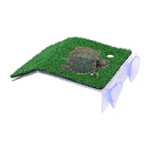 alfyng Kleine Schildkröten-Plattform, Schildkrötenrampe, Reptilienleiter, für Terrassen und Aquarien, schwimmende Dekoration für kleine Reptilien, Frosch, Terrapin (9,5 x 8 x 3,7 cm)