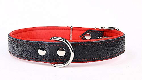 Capadi K0722 Hundehalsband mit Napaleder unterlegt und Starkes Hundehalsband aus Echtleder, Rot, Breite 30 mm, Länge 56 cm