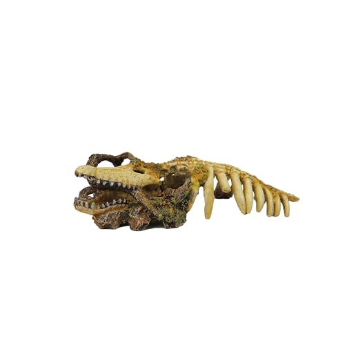 CLASSIC Krokodil-Skelett mit Holz, 297 x 130 x 70 mm