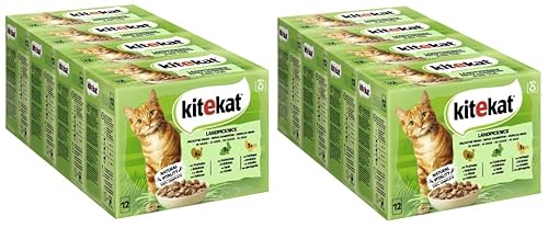 KITEKAT Portionsbeutel Multipack Katzenfutter Nassfutter (2X 4X 12x85g, Landpicknick in Sauce)