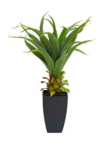 EUROPALMS 82600160 Kunstpflanze Agave mit Vase, 75 cm