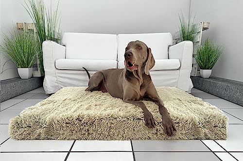 tierlando® Orthopädische Hundematratze Pitt Shaggy – Anti-Rutsch-Unterseite Langflor Plüsch-Bezug waschbar (M (80x60 cm), 14 Beige)