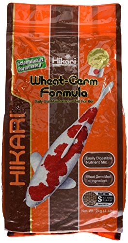 Hikari 4958/1582 Wheat Germ Japanisches Koifutter, Inhalt: 2.0 kg, Größe: 2.7-4.0 mm