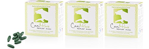 CaniMove Dreier-Pack (3 x 100 Kapseln) Senior Maxi - tierärztliches Ergänzungsfutter für eine gezielte Unterstützung von Augen und Gehirn