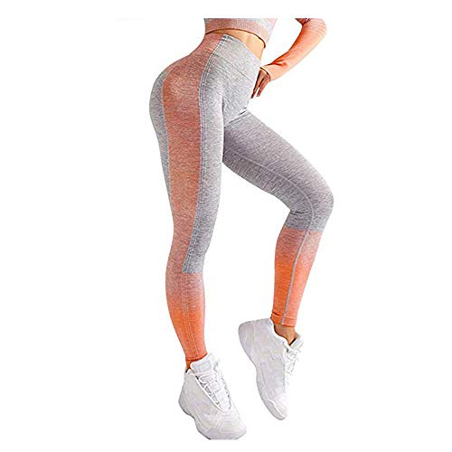 Leoyee Damen Sports Leggings Yogahose Nahtlose High Waist Training Hip-up Fitnesshose Workout Laufhose