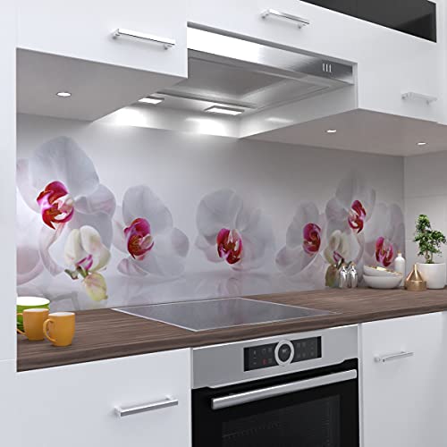 OneWheel | selbstklebende Küchenrückwand | 400x60 cm harte PVC Folie | Wandtattoo für Fliesenspiegel Design Blumen Weiss | Motiv: Orchidee