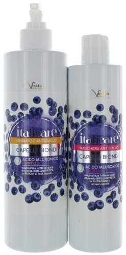 Hyaluronsäure Blaubeer Haarshampoo + Haarmaske (1x500ml + 1x 300ml) Anti-Gelbstich für weißes, graues, gebleichtes, blondiertes, gesträhntes und geschädigtes Haar
