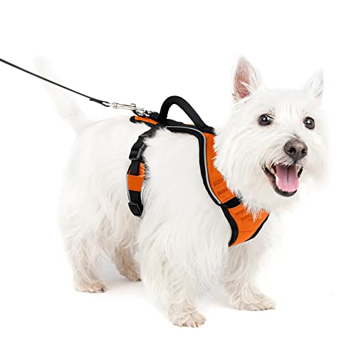 PetSafe EasySport Hundegeschirr, verstellbares, gepolstertes Hundegeschirr mit Kontrollgriff und reflektierenden Paspeln, von den Makers of The Easy Walk Geschirr Orange Small