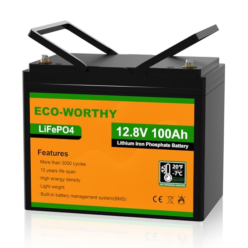 ECO-WORTHY LiFePO4 100Ah 12V Batterie mit BMS Schutz und 3000 Zyklen, Lithiumbatterie für Wohnmobil,Solaranlage, Boot, Haushalt, Solarpanel Kit,Camping