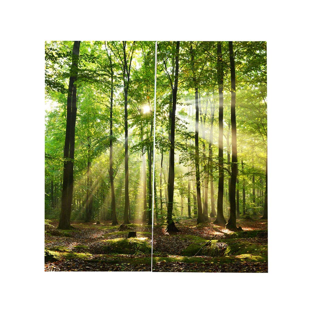 Ouitble Wald-Verdunklungsvorhänge – Vorhänge, Weg in den Bergen, Dschungel, Natur, Landschaft, Dekoration, Zuhause geeignet für Schlafzimmer, Wohnzimmer, 2-teiliges Set (170 x 220 cm)