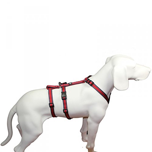 Das Original - NoExit Hundegeschirr ® - 100 % ausbruchsicher für Angsthunde, Panikgeschirr, rot Muster, Bauchumfang 60-80 cm, 25 mm Bandbreite
