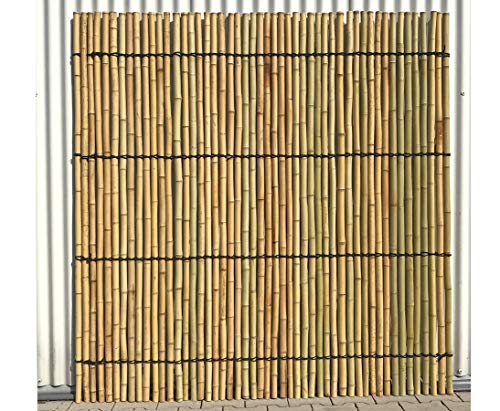 Bambuszaun starr, Moso gelblich Gebleicht mit 150x120cm, Durch. Bambusrohre 3,5-4cm - Hochwertiger Zaun aus gelblich gebleichten Moso Bambusrohren