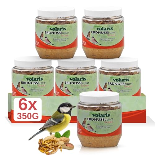 Eggersmann volaris 6 x 350g Premium Erdnussbutter für Wildvögel - Kalorienreiches Fettfutter - Erdnussbutter Vögel im Kunststoff - Glas (6 x 350 g, Insekten)