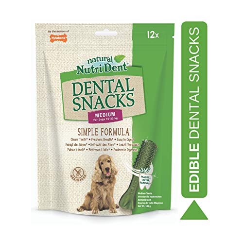 Nylabone Nutri Dent, natürliche für Hunde, reinigen die Zähne, erfrischen den Atem und sind leicht verdaulich, 12 leckere Zahnpflege-Snacks, 1er Pack (1 x 0.324 kg)