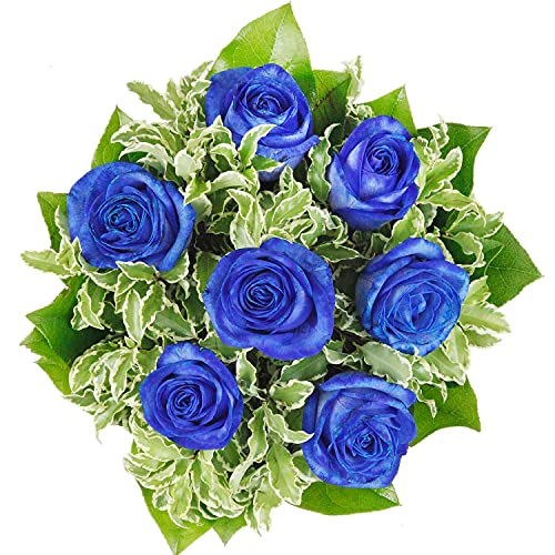 Blumenstrauß - Blue Star mit echten blauen Rosen