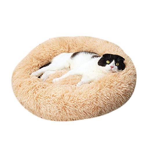 Weich Warm Hundebett Langes Plüsch Haustierbett für kleine und mittelgroße Hund Katze,Donut Form Rund Bett Waschbar Hundesofa Katzensofa-Beige-70x70cm