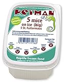Petman Mice on Ice, 10 x 5 Stk.-Dose, Tiefkühl-Reptilienfutter ohne chemische Zusätze und Konservierungsstoffe