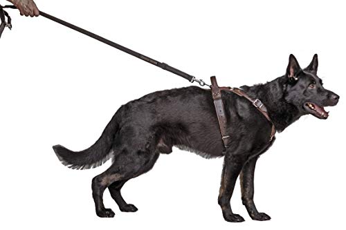 DINGO GEAR Hundegeschirr Predator, modisches Leder, handgefertigt, Hq Dog Mode, feine Bronze