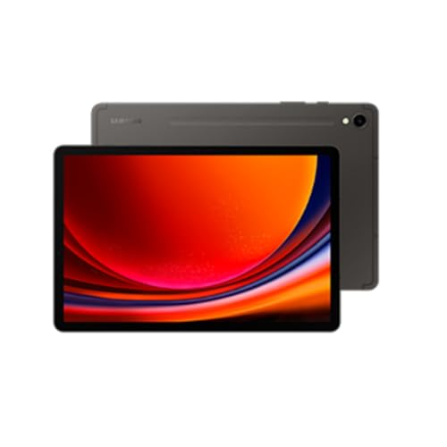 Galaxy Tab S9 (256GB) 5G Tablet graphit