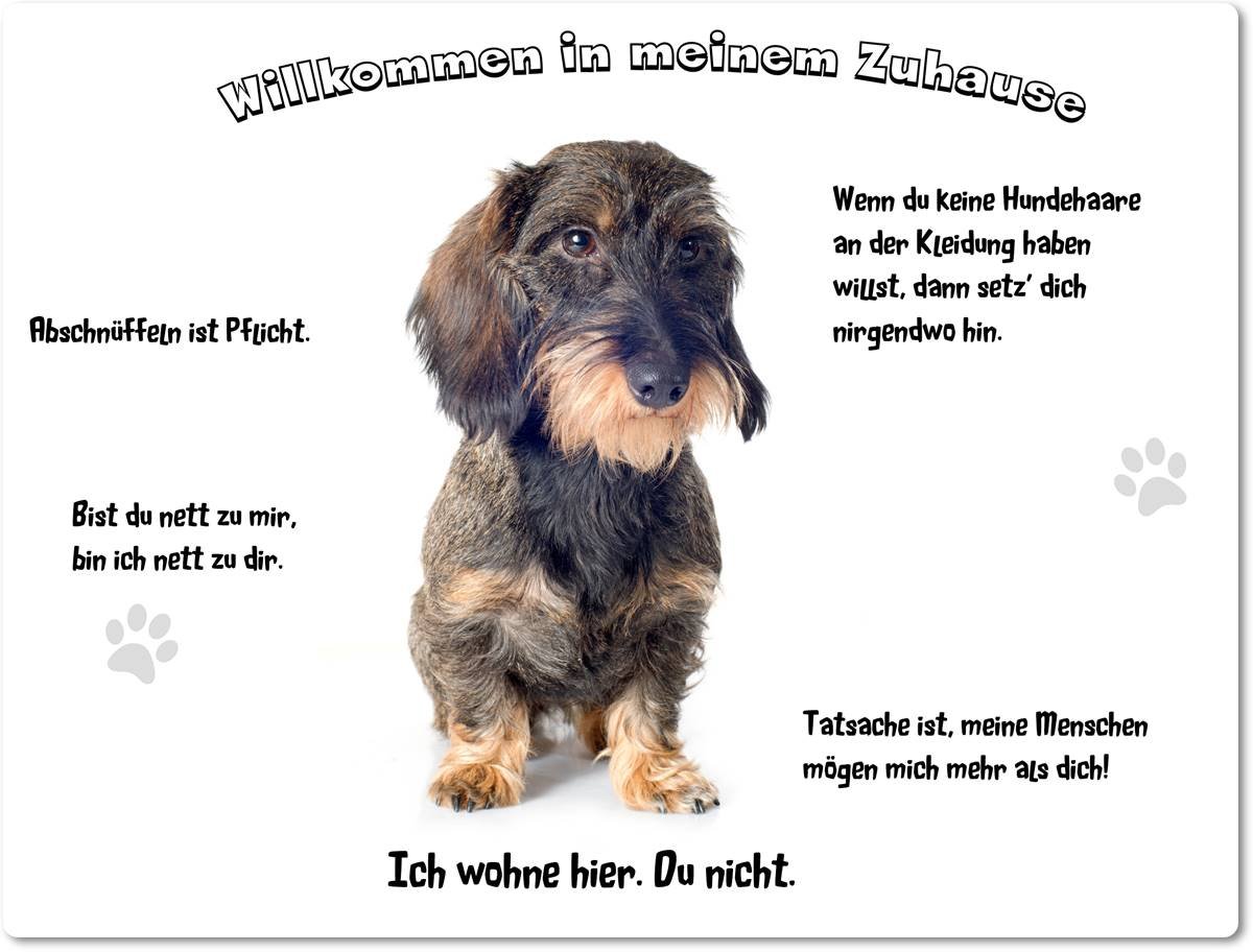 Merchandise for Fans Blechschild/Warnschild/Türschild - Aluminium - 30x40cm - - Willkommen in Meinem Zuhause - Motiv: Dackel Teckel Rauhhaardackel- 16