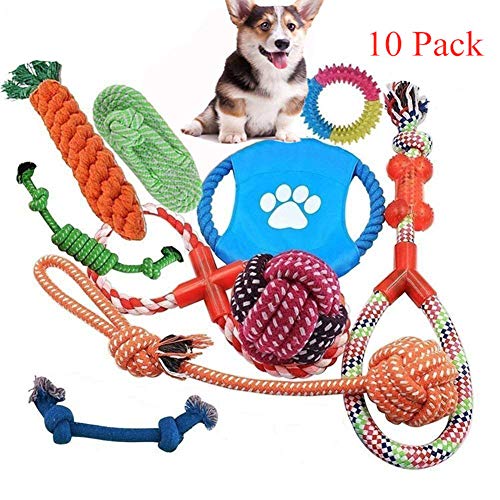 Shulishishop hundespielzeug welpenspielzeug Set Hund kaut Lange anhaltende natürliche Hund behandelt für welpen Welpen kauen Spielzeug 2