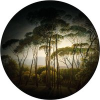 Fototapete Vliestapete Rund Schirmkiefern mit Vignettierung Kunst Wald Bäume Natur Landschaft verdunkelt inkl. Schablone Ø188 cm