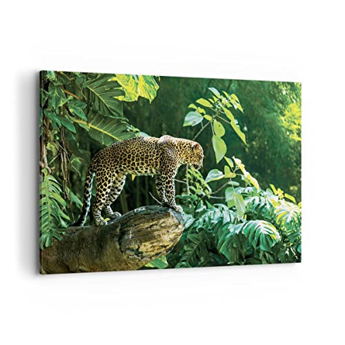 Bild auf Leinwand - Leinwandbild - Einteilig - Dschungel Leopard Panther - 100x70cm - Wand Bild - Wanddeko - Wandbilder - Leinwanddruck - Bilder - Wanddekoration - Leinwand bilder - AA100x70-4502